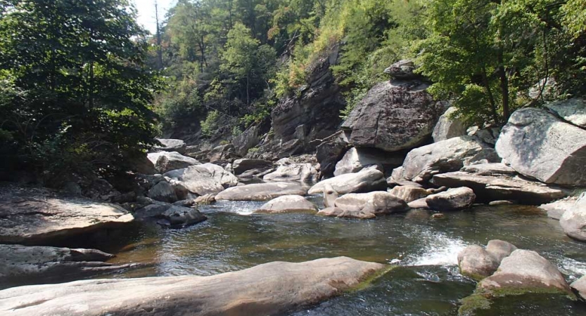 Water flows over large boulders framed by green trees